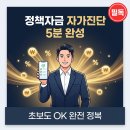 한국디지털병원수출사업협동조합 | 정책자금 자가진단 방법, 5분 만에 내 신청 가능 여부 확인하는 법