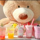 할리베어 이미지