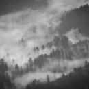 호텔 미니 이미지