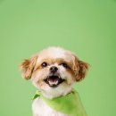 수락 동물병원 이미지