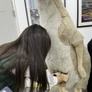 캥거루게임랜드 이미지