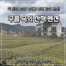 청루숲속의바다펜션 | (전남_보성감성펜션) 탁 트인 녹차밭 뷰의 감성 힐링 숙소, “구름 속의 산책” 솔직 후기!