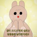 핫플짐 이미지