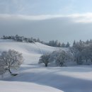 무쏘목장 이미지