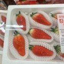 대학길 L 이미지