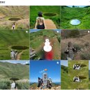 민둥산로 입구 | 인스타 핫한 산 강원도 민둥산 알레부산출발 후기