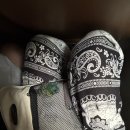 [단체]신나는 아시아 | [치앙마이] 코끼리는 인간의 이동 수단이 아닙니다. '코끼리 보호소 투어' 후기 +)개인적 솔직 의견