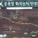 산지고고