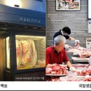 삼정한우촌 | 즉석 발골해서 구워주는 인생 소갈빗살 구이 맛집베스트 5 분당 ‘홍박사생고기’, 태백 ‘원조태성실비...