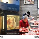 강남옥과한우촌 | 즉석 발골해서 구워주는 인생 소갈빗살 구이 맛집베스트 5 분당 ‘홍박사생고기’, 태백 ‘원조태성실비...