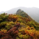 화봉주유소 이미지