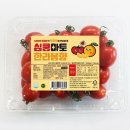 오텀 이미지