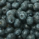 블루베리 이미지
