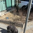 연수동사진관 이미지