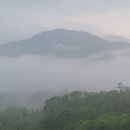 거룡축산 | 거창 망덕산