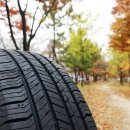 더타이어샵 고잔점 이미지