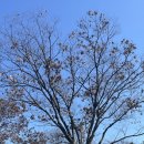 하이오커피 경산영대점 이미지