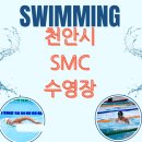 천안스포츠마스터클럽 천안SMC 수영장 | 천안 SMC수영장, 가족도 만족한 강습 프로그램 &amp; 자유수영