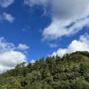 UR(강릉시)-[해안로]-상-133 | [강릉/경포대 2박3일] 첫날: 해미가 물회, 오프더월 옥수수타르트, 주문진항 좌판 수산물 풍물시장 회떠...