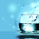 금식농장 이미지