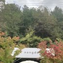 작천정휴게소 | [울산맛집]농도/내돈내산/솔직후기/가격/비빔밥다과맛집/한옥맛집/부모님모시고가기좋은곳