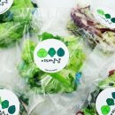 그릿샐러드 이미지