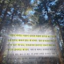 일홍 | 행복할 거야 이래도 되나 싶을 정도로 (일홍) 책 후기·추천 리뷰·핵심 요약 <행복하자는 말보다 먼저...