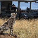 아프로PC카페 이미지