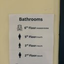 블루닷 포쉬텔 이미지