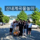 산내알프스펜션 | [산내계곡] 여름 마지막 물놀이 비 온 뒤 산내계곡 &#39;얼음골밀양알프스펜션&#39; 평상대여