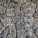 자매쌀롱 | 정말 엉망진창이네요~", 제주 스냅 촬영 후기(대구공항, 자매국수, 귤귤스토어, 케이살롱, 제주에선쪼꼴락)