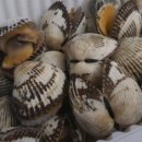 눈보라식당 이미지