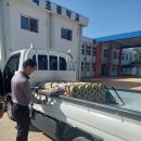 점곡초등학교 이미지