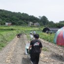 작은씨앗도서관 이미지