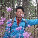 최백균카랜드 이미지