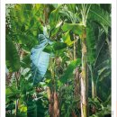 남산도서관 이미지