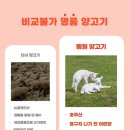 램원