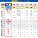 NH손해보험 오늘부터 1월 한시적 공지 이미지