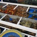 천사수산 이미지