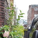 강남가스상사 이미지