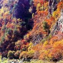 마음의 양식 이미지