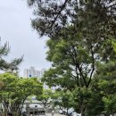 성곡중 이미지