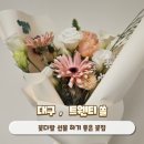 트웬티쏠 | 대구꽃집 다양한 식물 많은 범어동꽃집 트웬티쏠