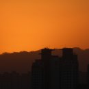 일출빌딩 이미지