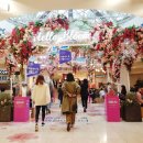 롯데백화점 비비하우스 이미지