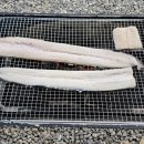 대림목장 | [경기/가평] 수도권에서 1시간이면 도착하는 가성비 캠핑장 가평더캠프카라반글램핑