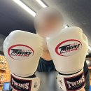 트윈스 MMA 이미지