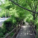 해인사 소리길 이미지