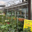 여주-0046 이미지