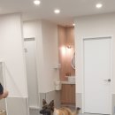 해피독쌤 이미지